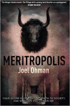 Meritropolis Book Cover