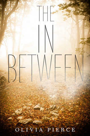 The In Between Book Cover