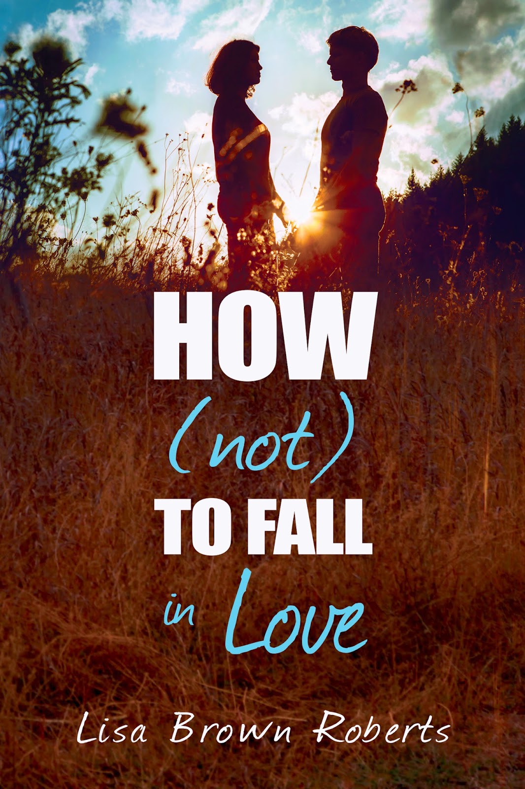 How (Not) to Fall in Love Book Cover